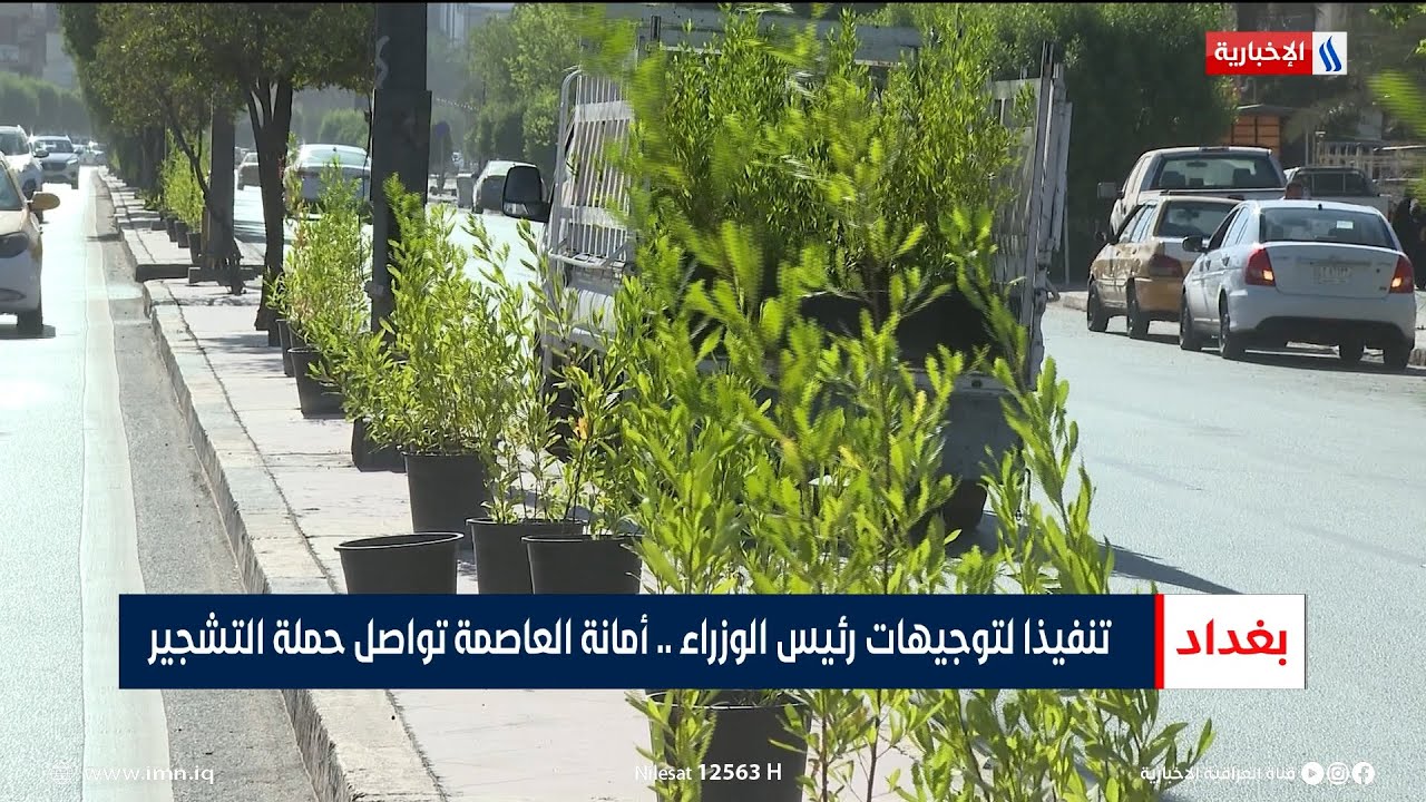 تنفيذا لتوجيهات رئيس الوزراء.. أمانة العاصمة تواصل حملة التشجير | تقرير محمد العيداني