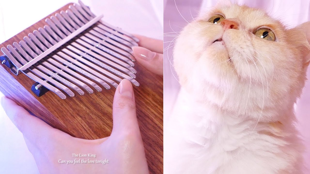 The Lion King, Can You Feel The Love Tonight - Kalimba cover.