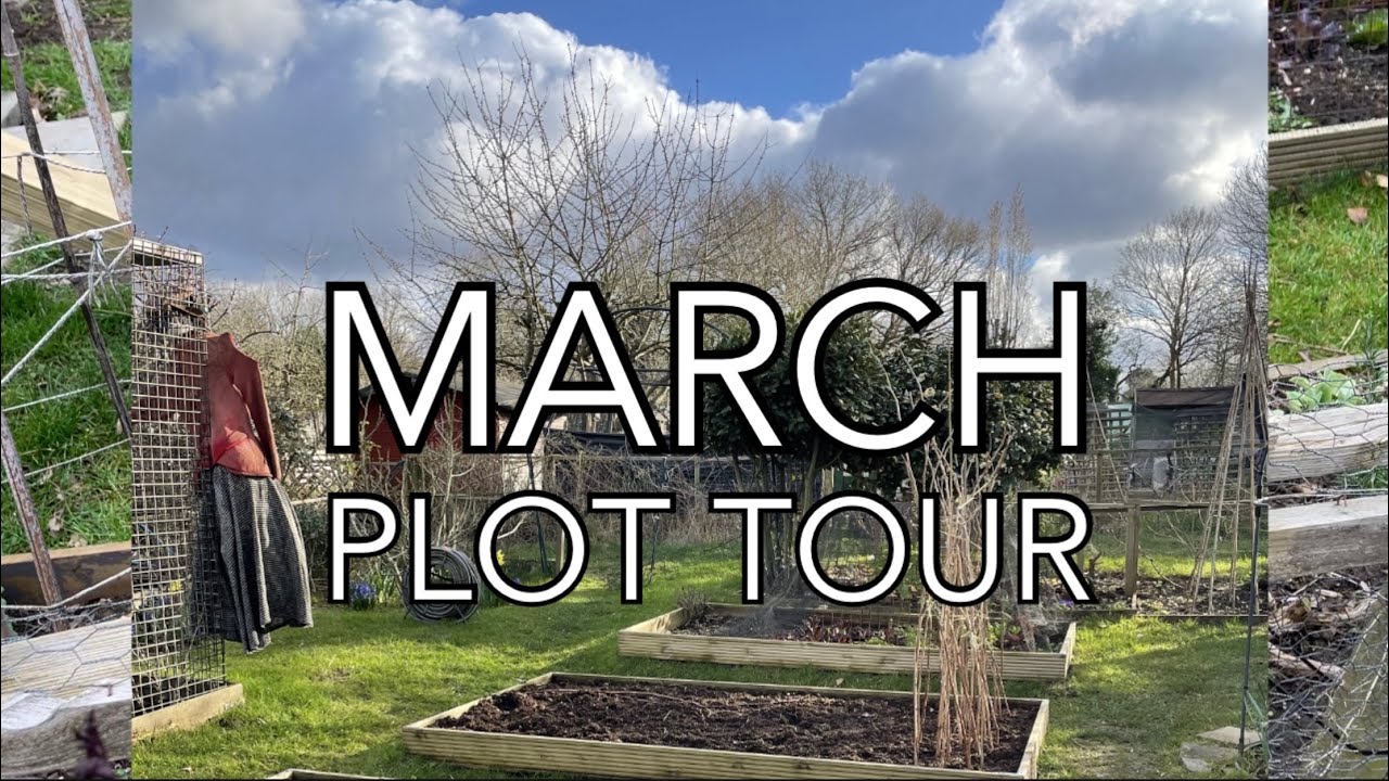 March Plot Tour || Plot 37
