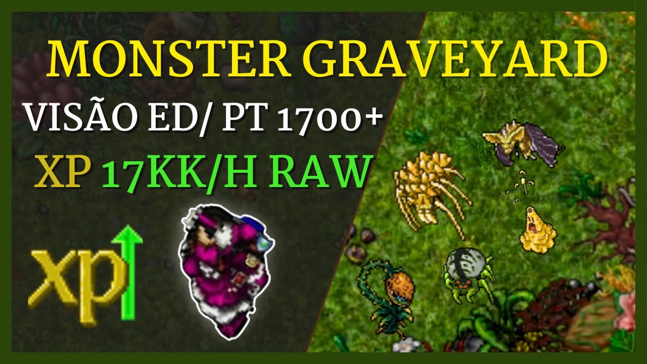 Tibia Hunt Monster Graveyard x4 (Visão ED) PT 1700+/ xp 17kk/h raw (aranhas)