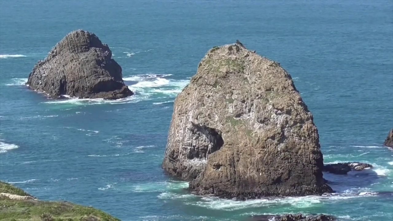 Turbidites