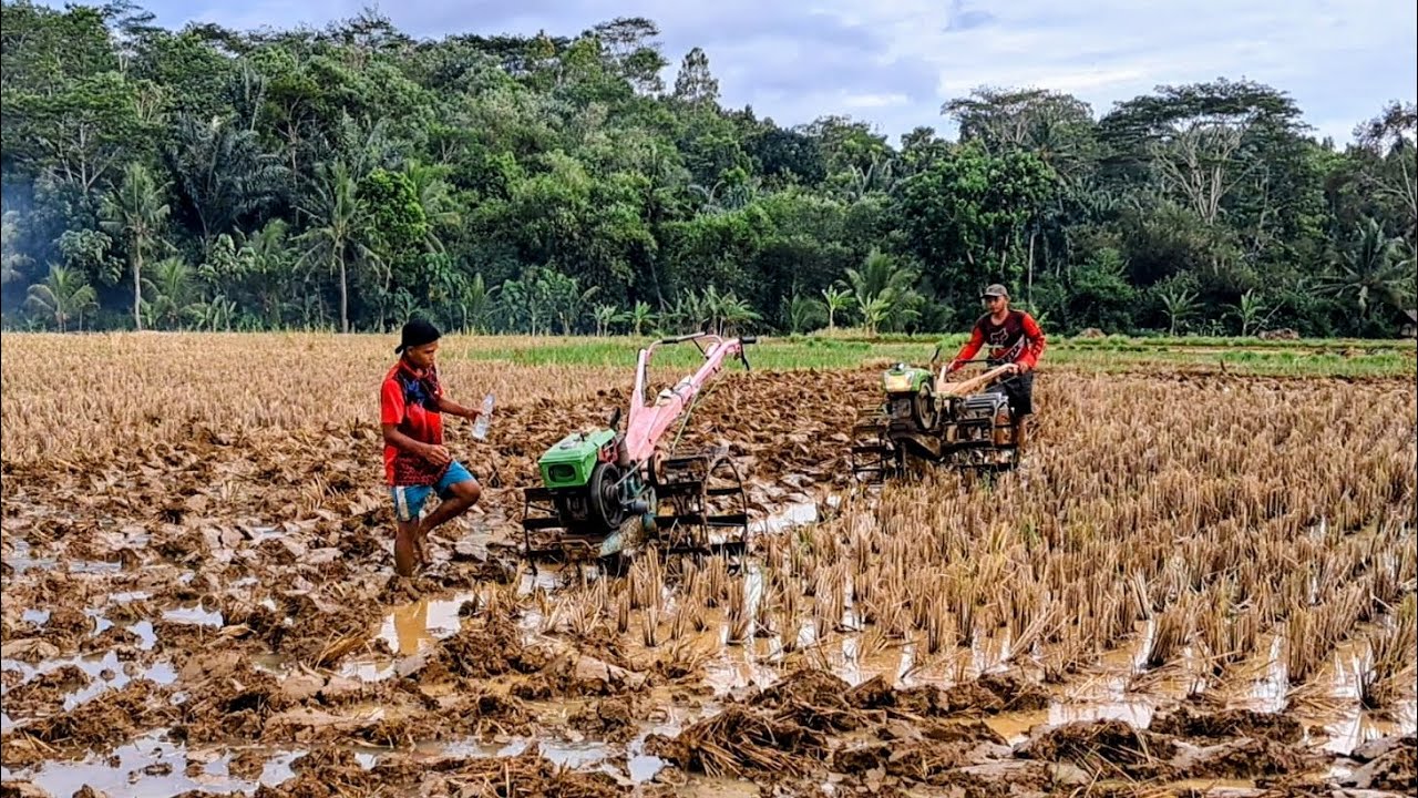 Mesin Pun Haus Harus Dikasih Minum Dulu