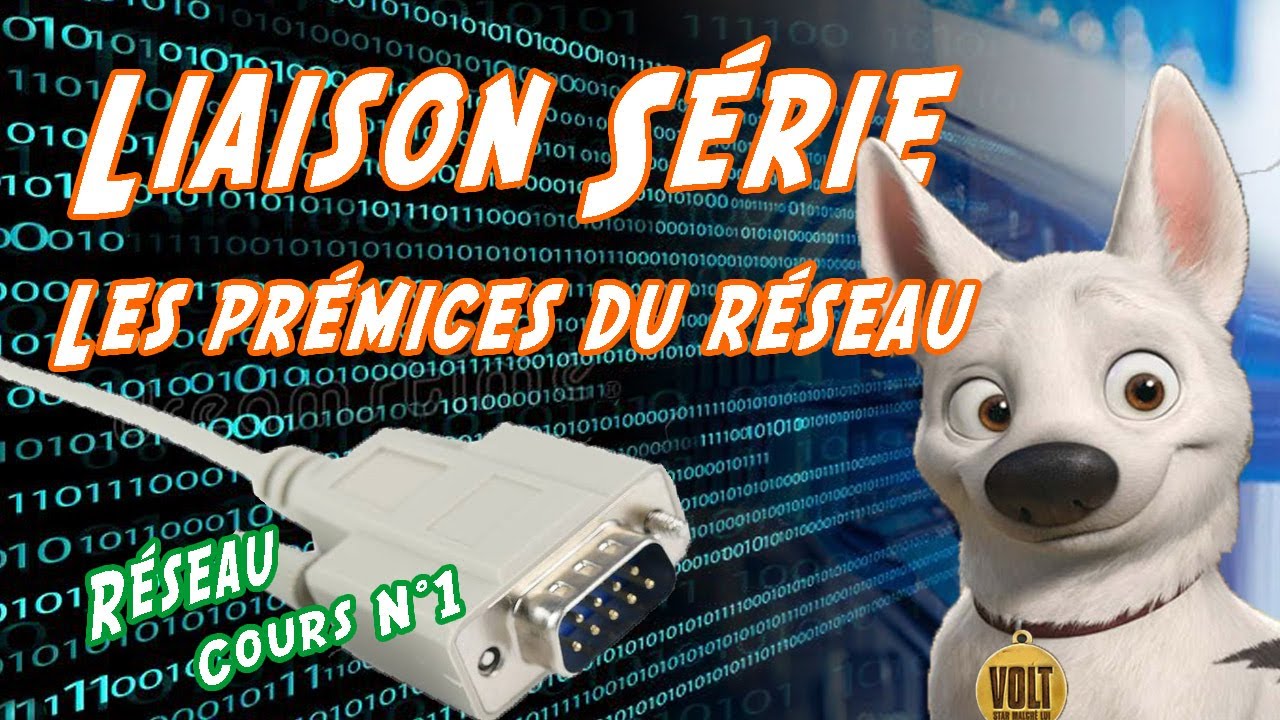 [R01] Liaison Série RS232 Programmation