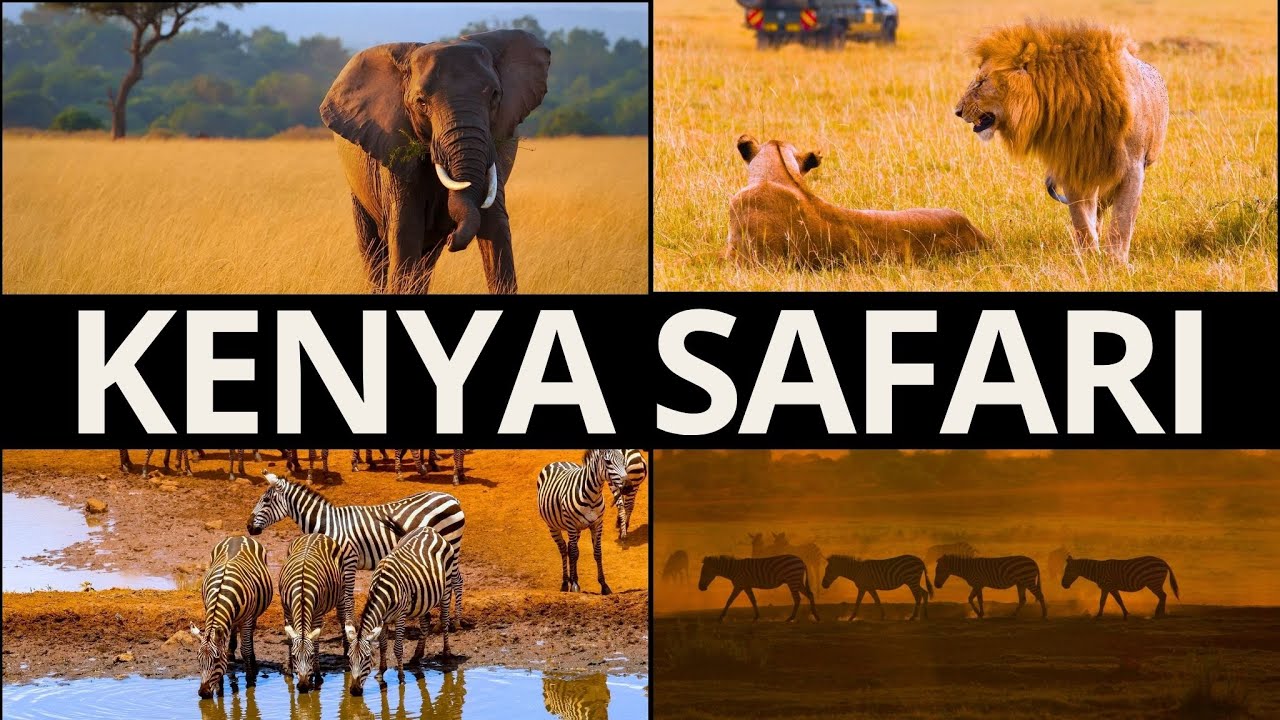 Il mio safari in Kenya