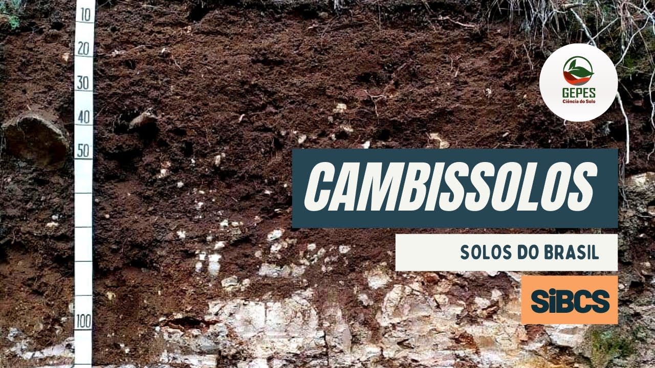 Solos do Brasil - Cambissolos