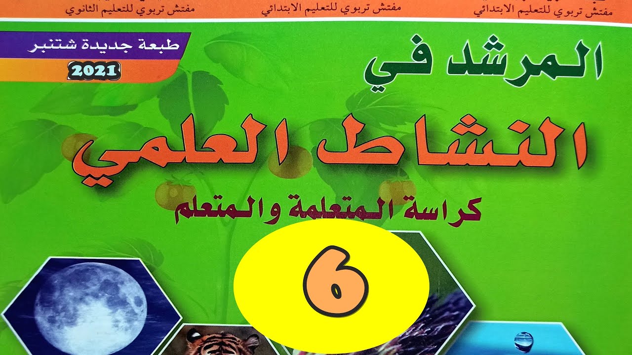 دعم وقائي ص6 المرشد في النشاط العلمي المستوى الرابع