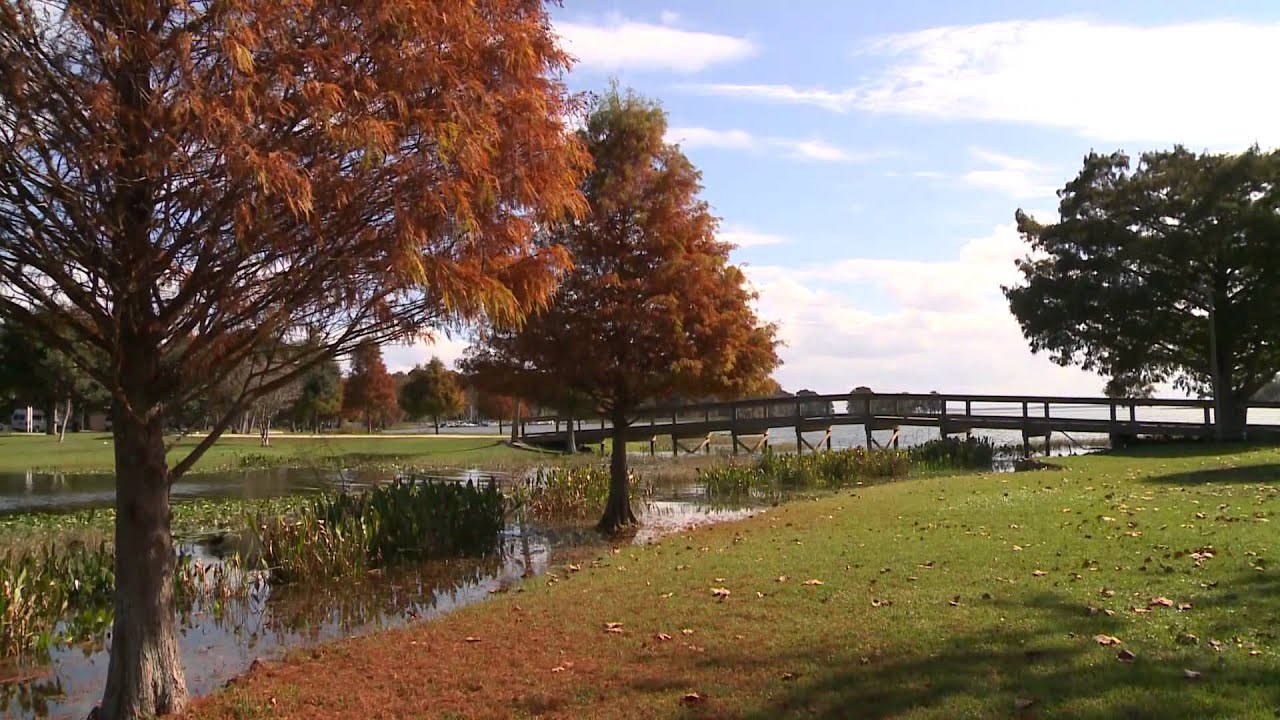 Birding Adventures TV features Lake County, Florida