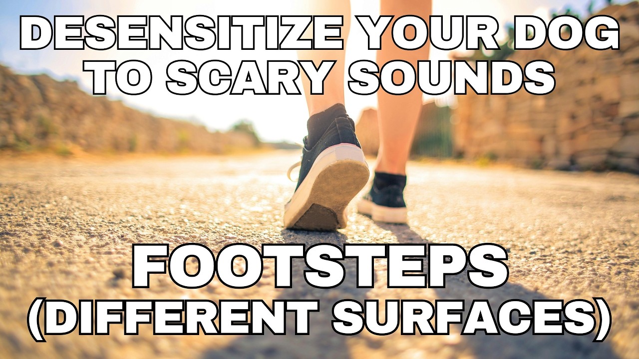 Dog Desensitization Sounds for Dogs & Puppies: Footsteps on Different Surfaces