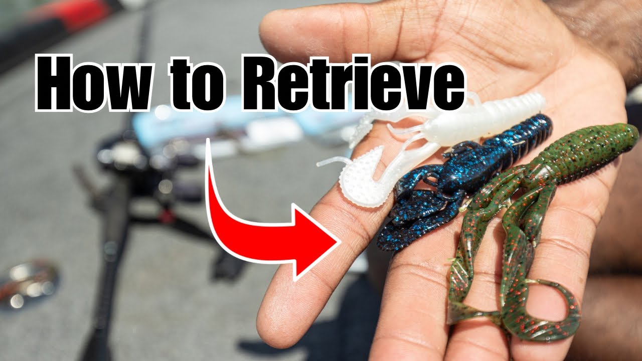 How to Fish A Carolina Rig - Top 3 Lures + Retrieves