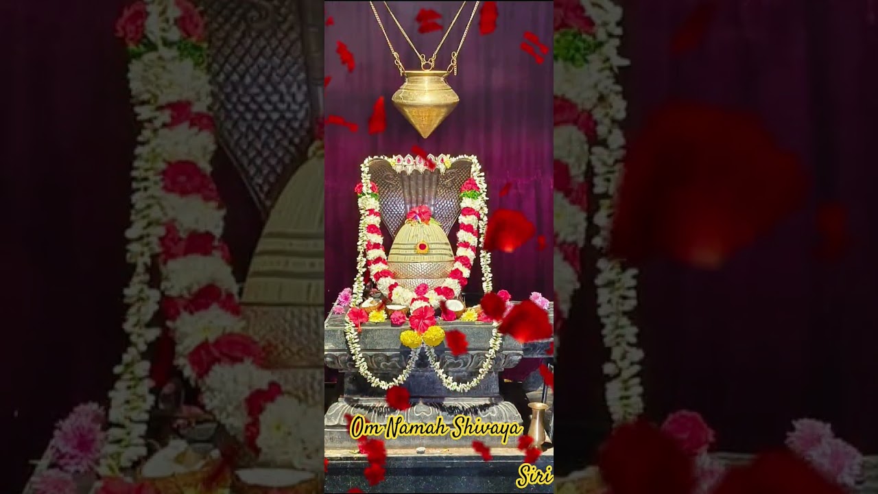 13 January 2026mulapadu Temple like and subscribe me siri💐👍💐
