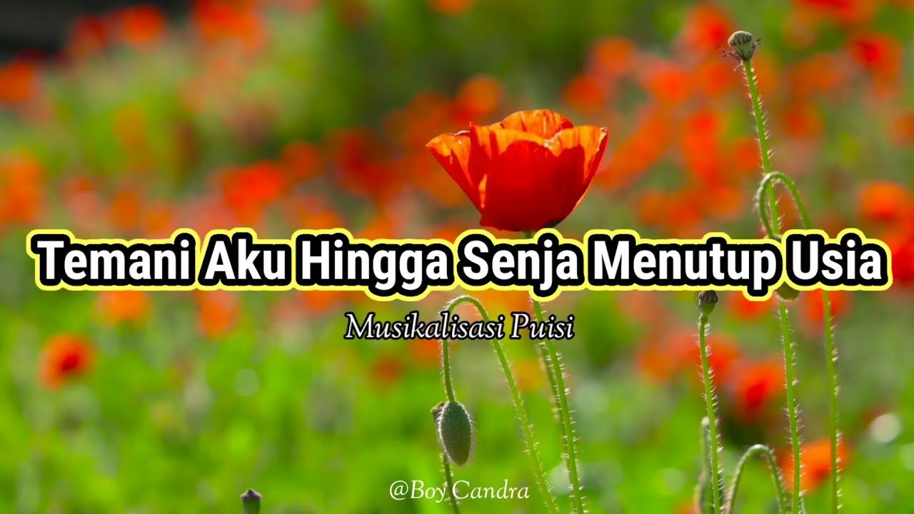 Puisi Cinta - Temani Aku Hingga Senja Menutup Usia | Musikalisasi Puisi (Boy Candra)