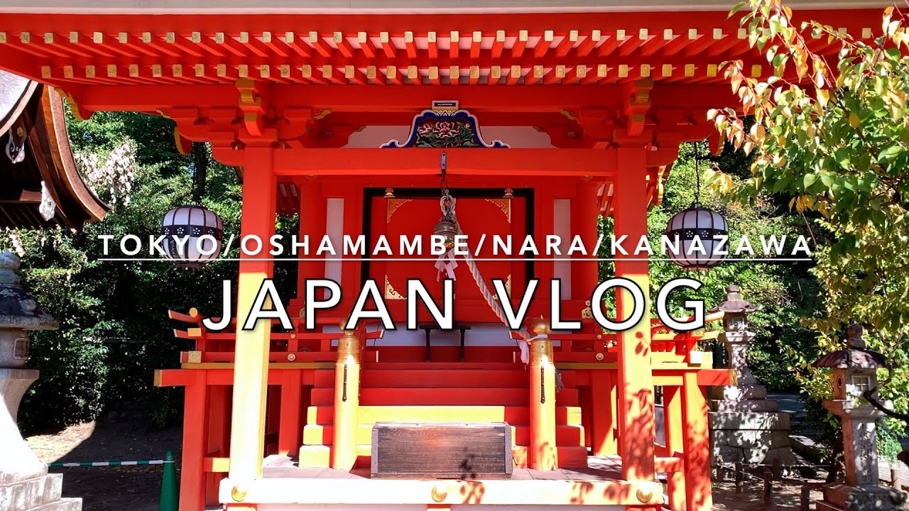Japan Travel Vlog Oct & Nov 2023 | Kyoto | Oshamambe | Nara