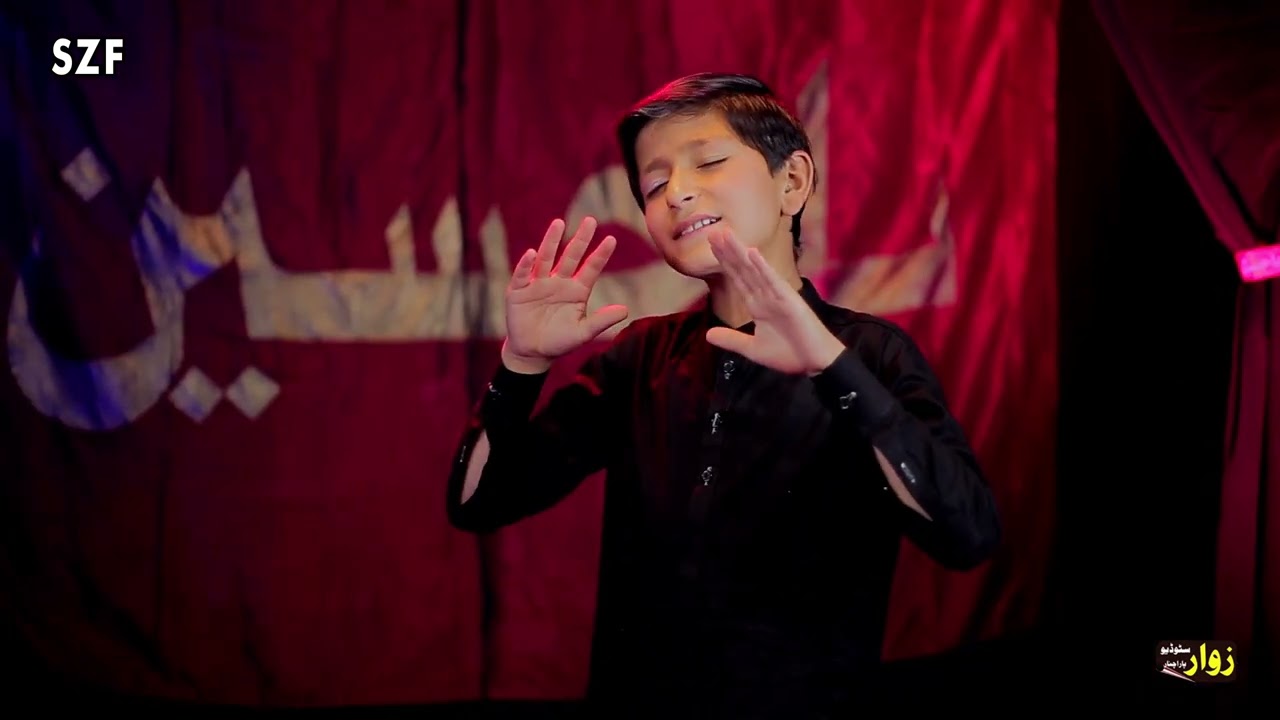 Wa  Zuljanah waya da ma shareen BABA sasho/New Noha 2024.Reciter zakir sayed Amir Abbas Fakhri.