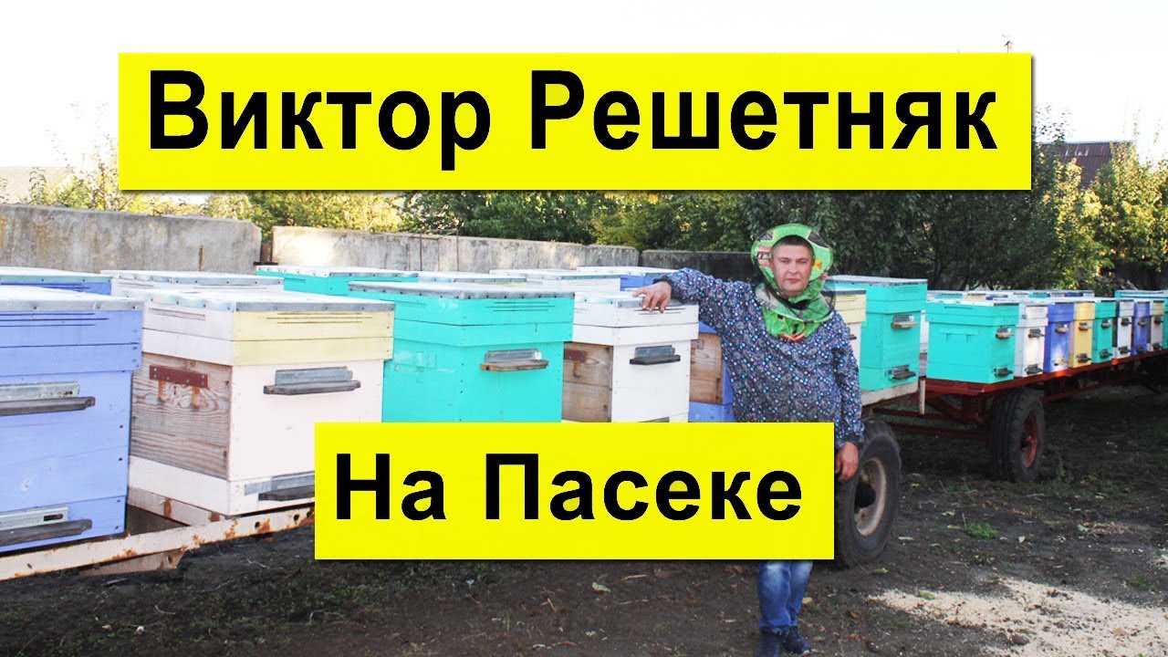 На Пасеке Виктора Решетняка ✅ Пчеловод Рационализатор с множеством идей ✅