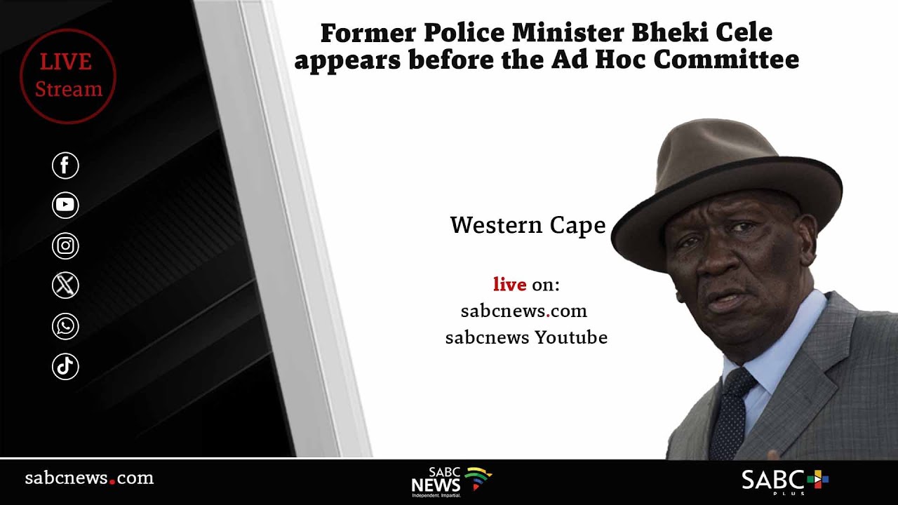 Parliament Ad Hoc Committee | Former Police Minister Bheki Cele
