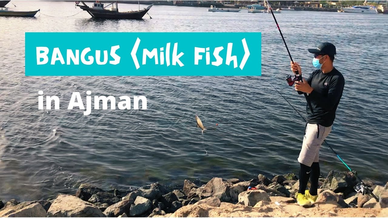 Fishing in Ajman: HOW TO CATCH BANGUS |Milk Fish|