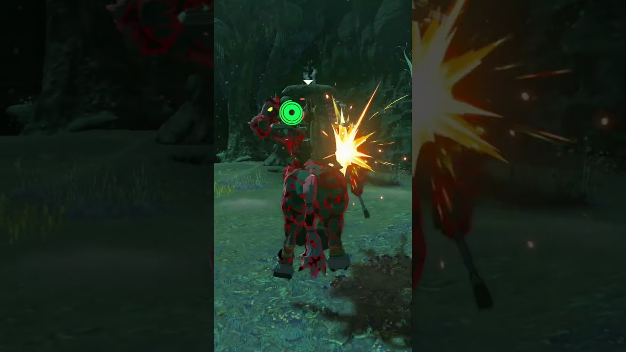 【ティアキン】ナギデチヤマの根付近のライネル　ゼルダの伝説ティアーズオブ ザキングダムNintendo Switch 2 Edition #zelda #shorts