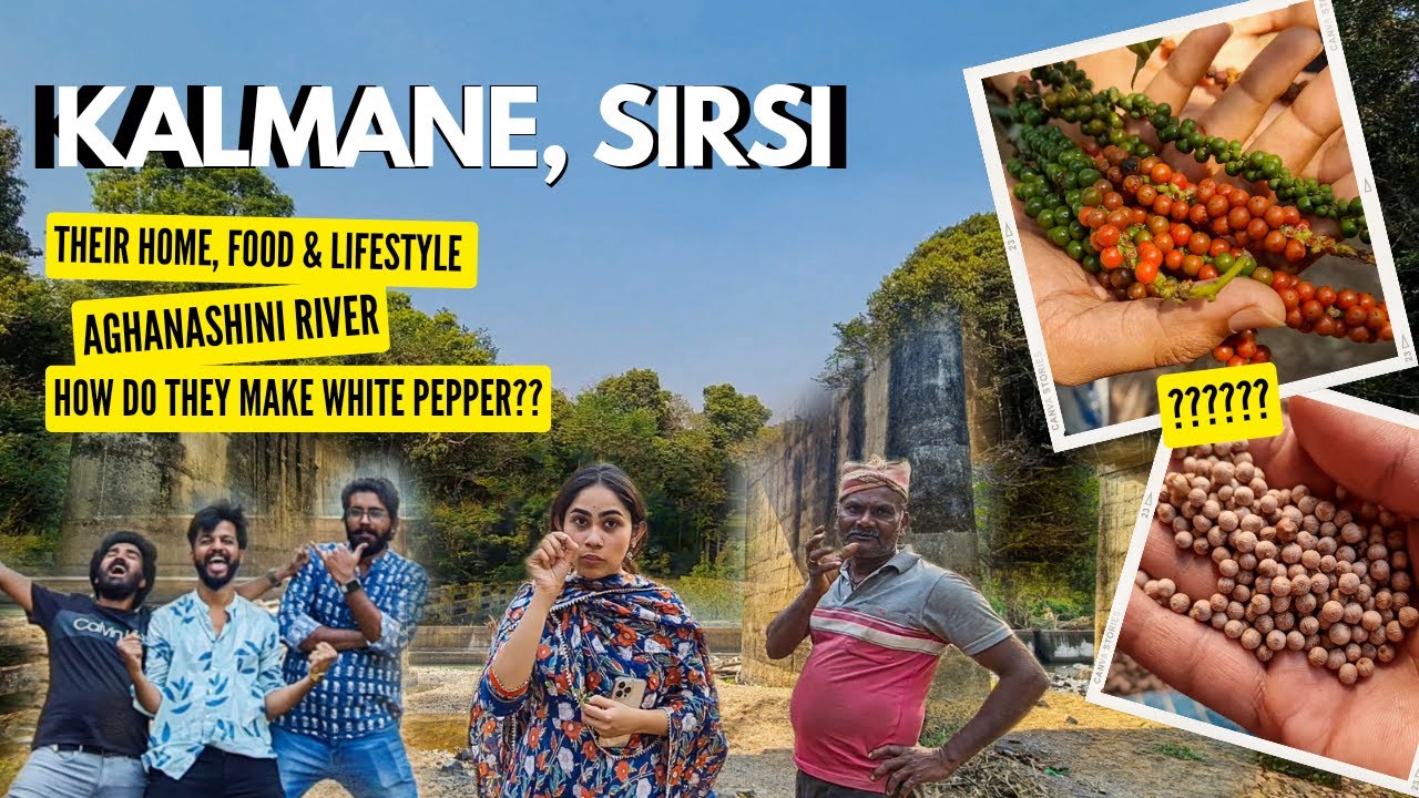 ತೋಟದ ಜೀವನ ಶಿರಸಿ | ajji mani | cheytan vlogs