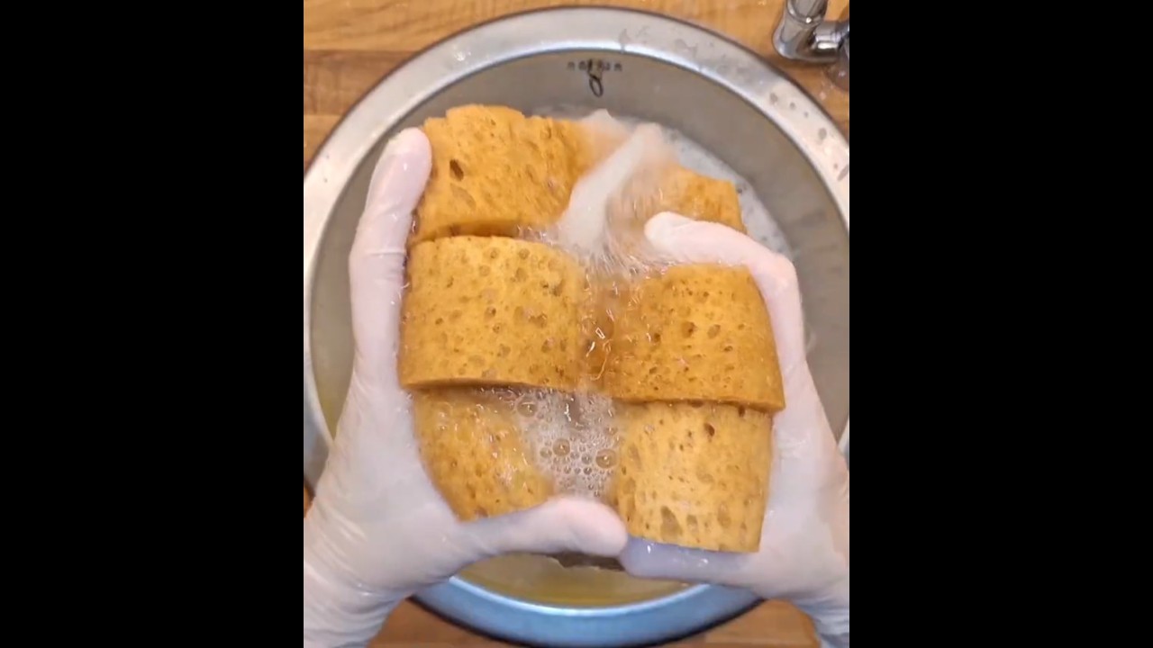 ASMR #spongesqueezing Rinsing soapy sponges #oddlysatisfying #satisfying #soapyspongesqueezing