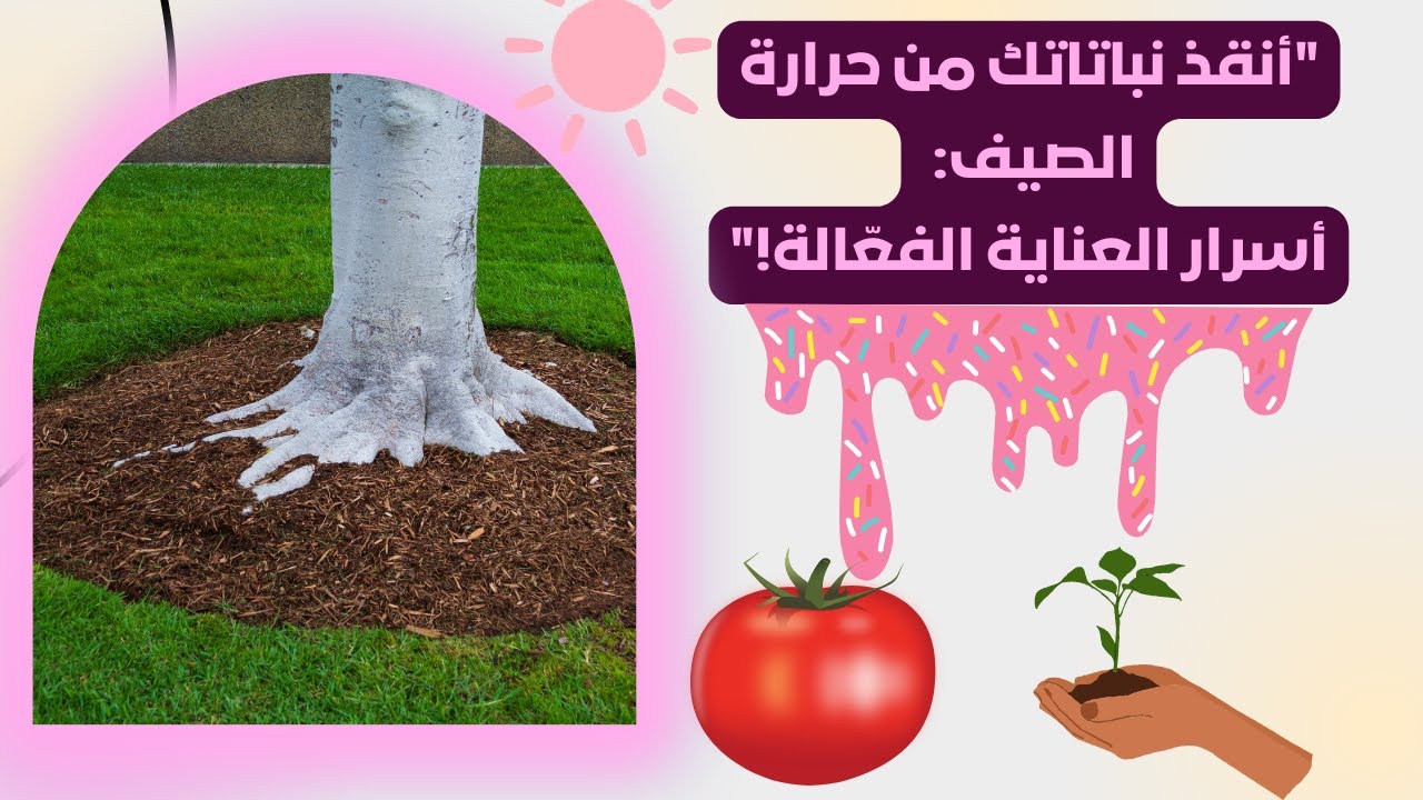 حماية النباتات من الحر الشديد: نصائح لا تفوتها!