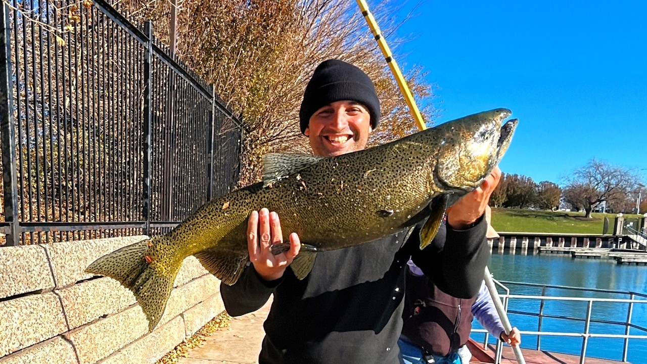 &iexcl;Salm&oacute;nes Gigantes en Chicago! Como viajar con equipo de pesca