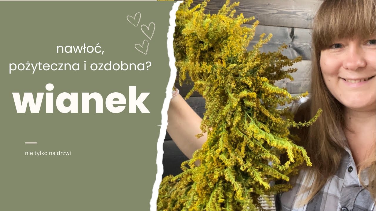 Jak zrobić wianek z nawłoci? DIY w Rozkminy Maminy