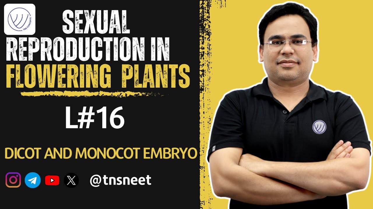 DEVELOPMENT OF DICOT AND MONOCOT EMBRYO | SEXUAL REPRODUCTION IN FLOWERING PLANTS CLASS 12 | TNSNEET