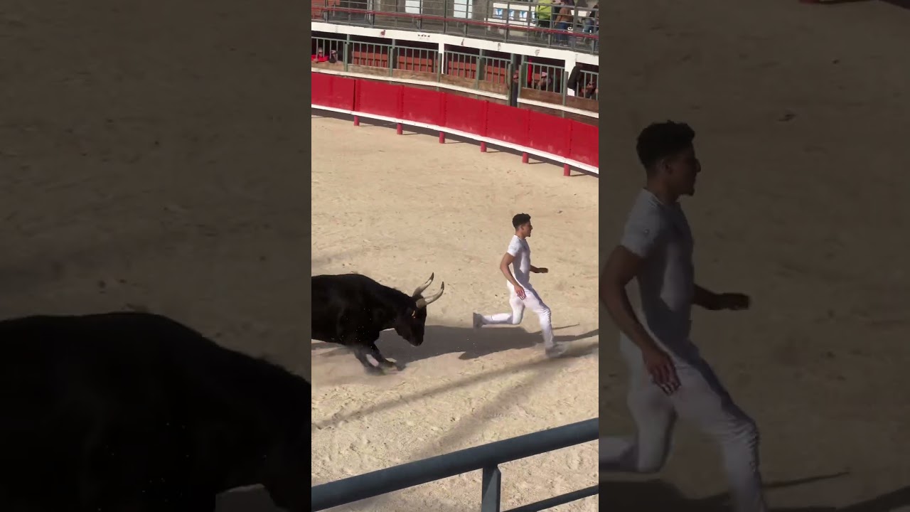 💥 Isma&euml;l Oukharti avec Bosco de Saumade