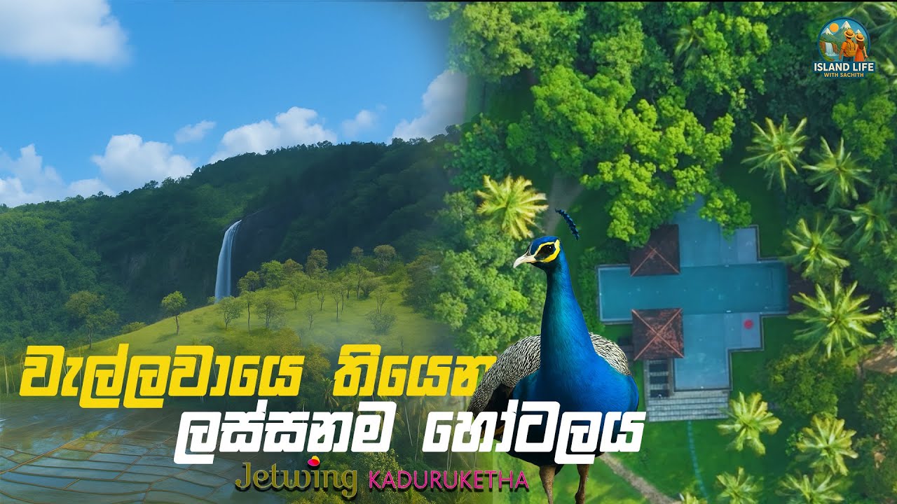 වැල්ලවායෙ තියෙන ලස්සනම හෝටලය 😍 | Island life with Sachith 26