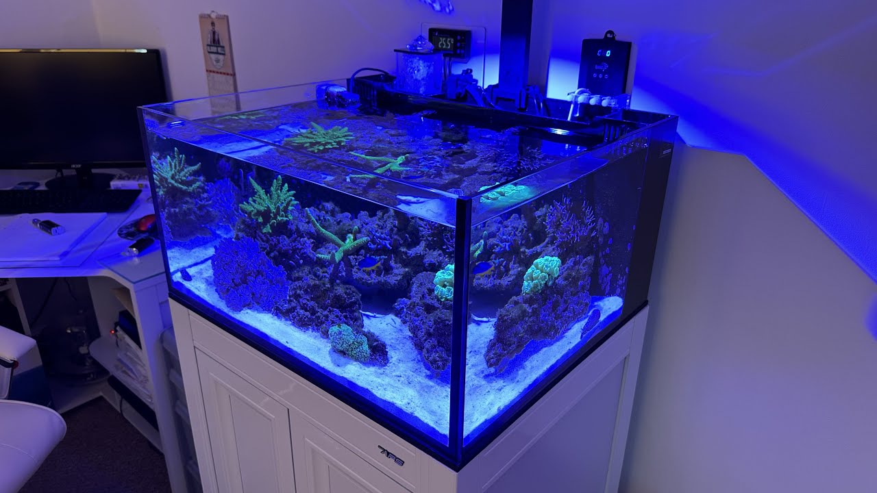 INNOVATIVE MARINE lagoon 25 - 6 month update!!!