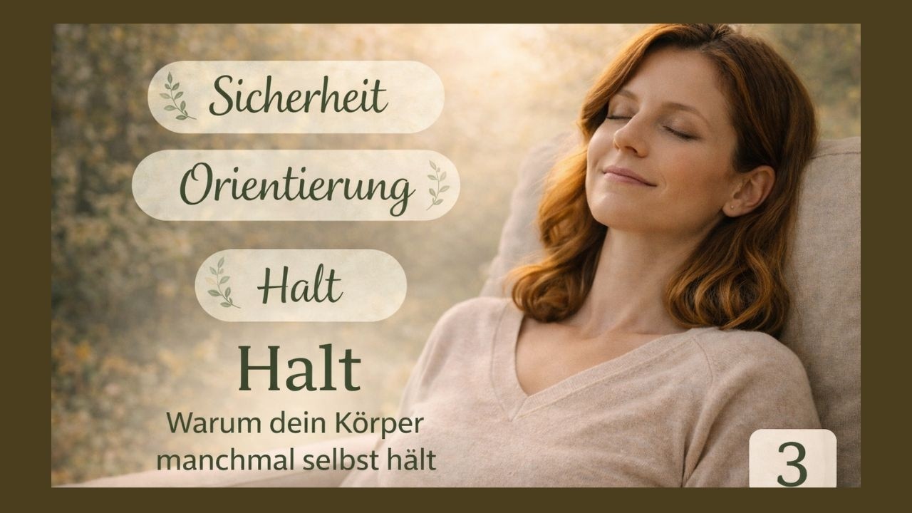 Halt – Warum dein Körper manchmal selbst hält | Nervensystem-Wörterbuch #3