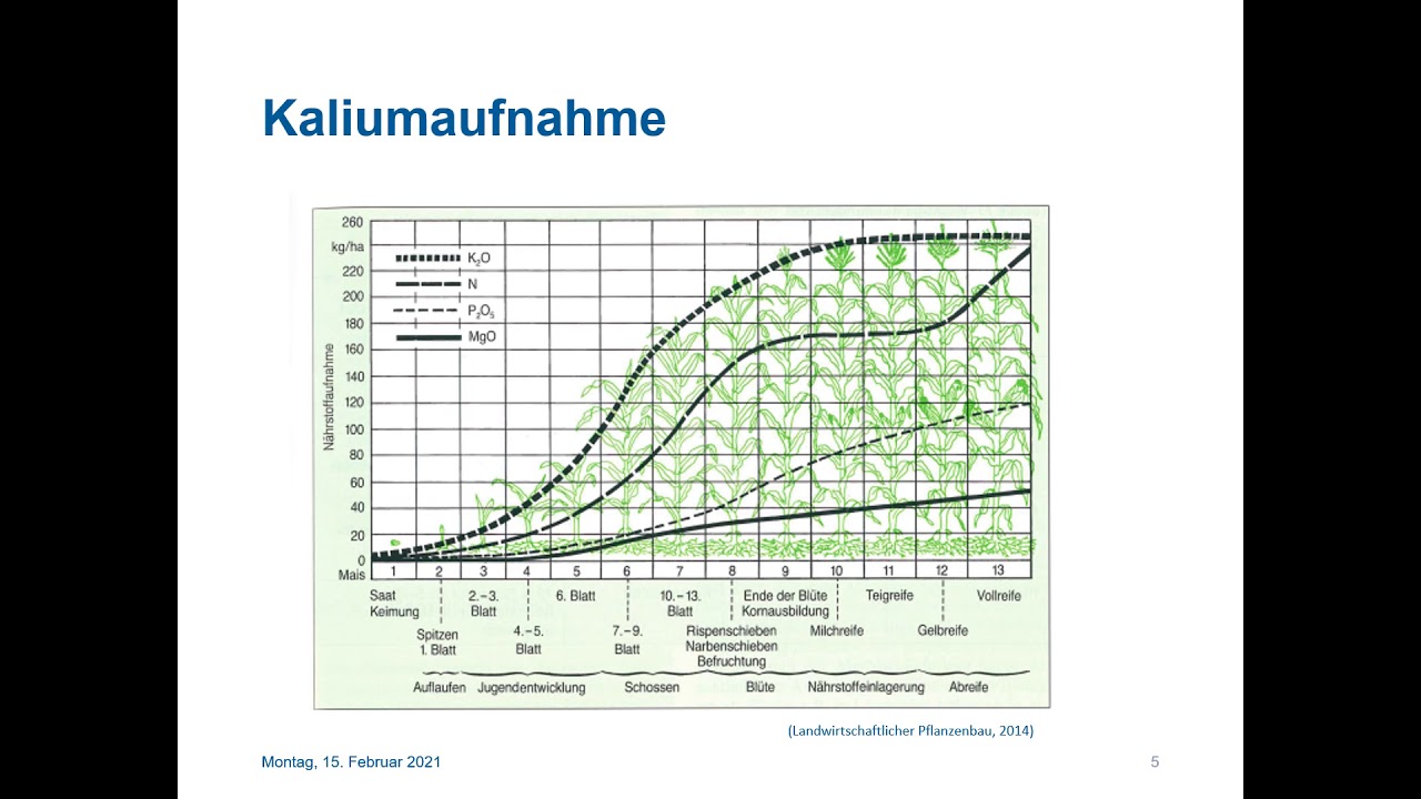 Kalium