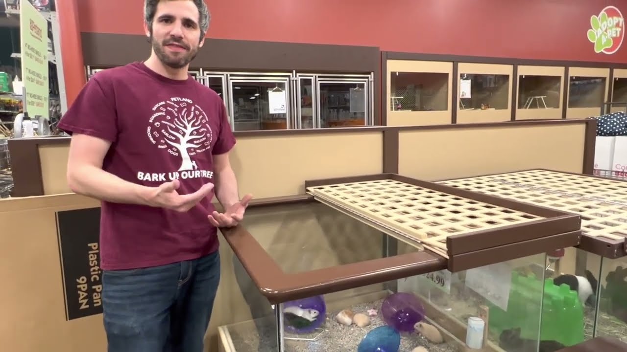 Choosing a Pet Hamster at Petland!
