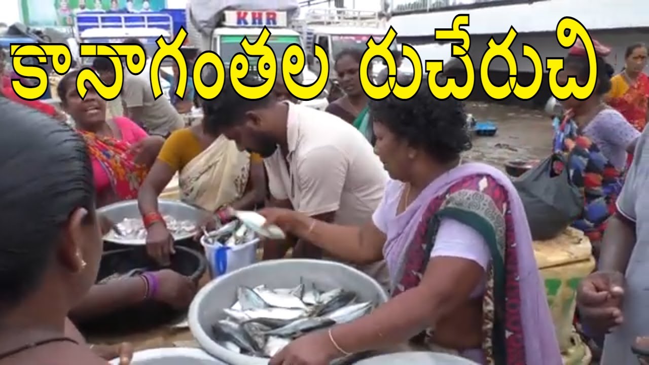 కానాగంతల రుచేరుచి  |  Matlapalem  Fish Market | Amazing  Fish Market In India |  SeaFood Market