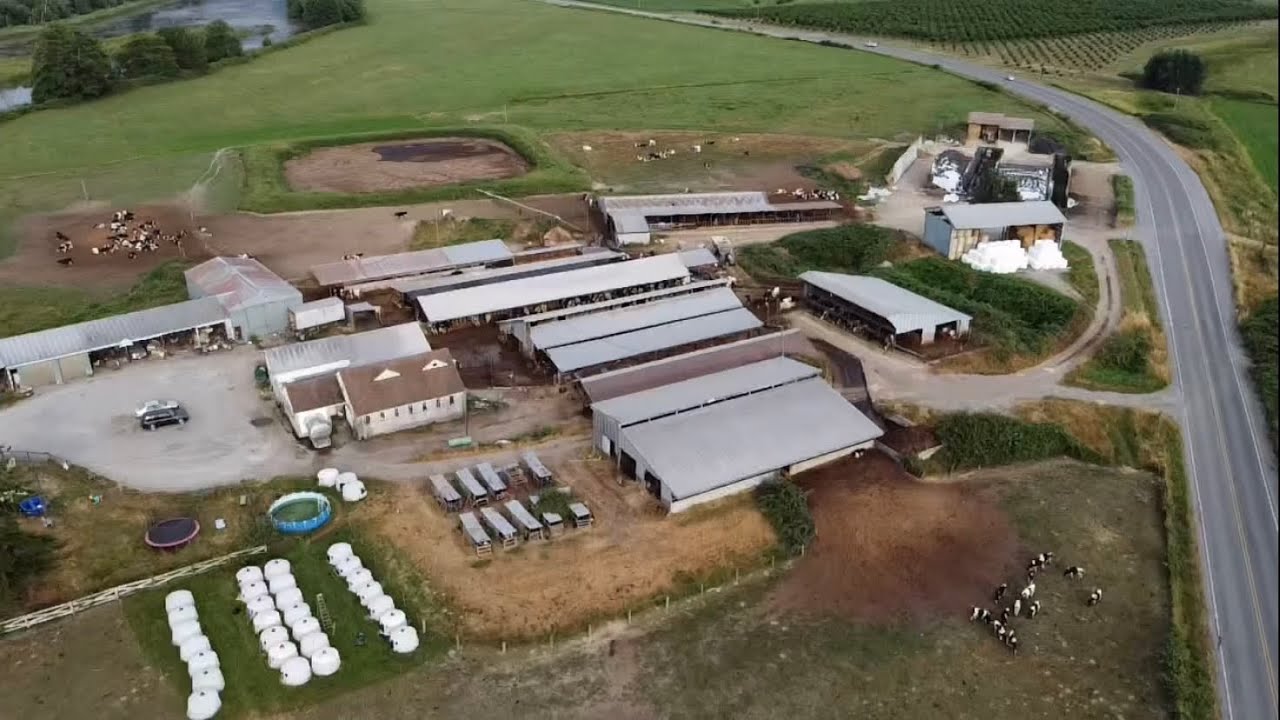 Dairy Farm Tour - Our 120 acre dairy farm