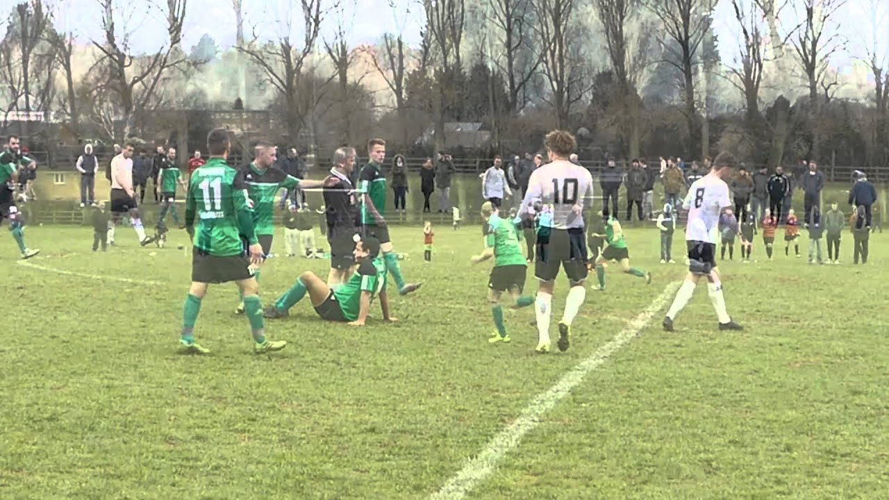 Greyhound v Walcot
