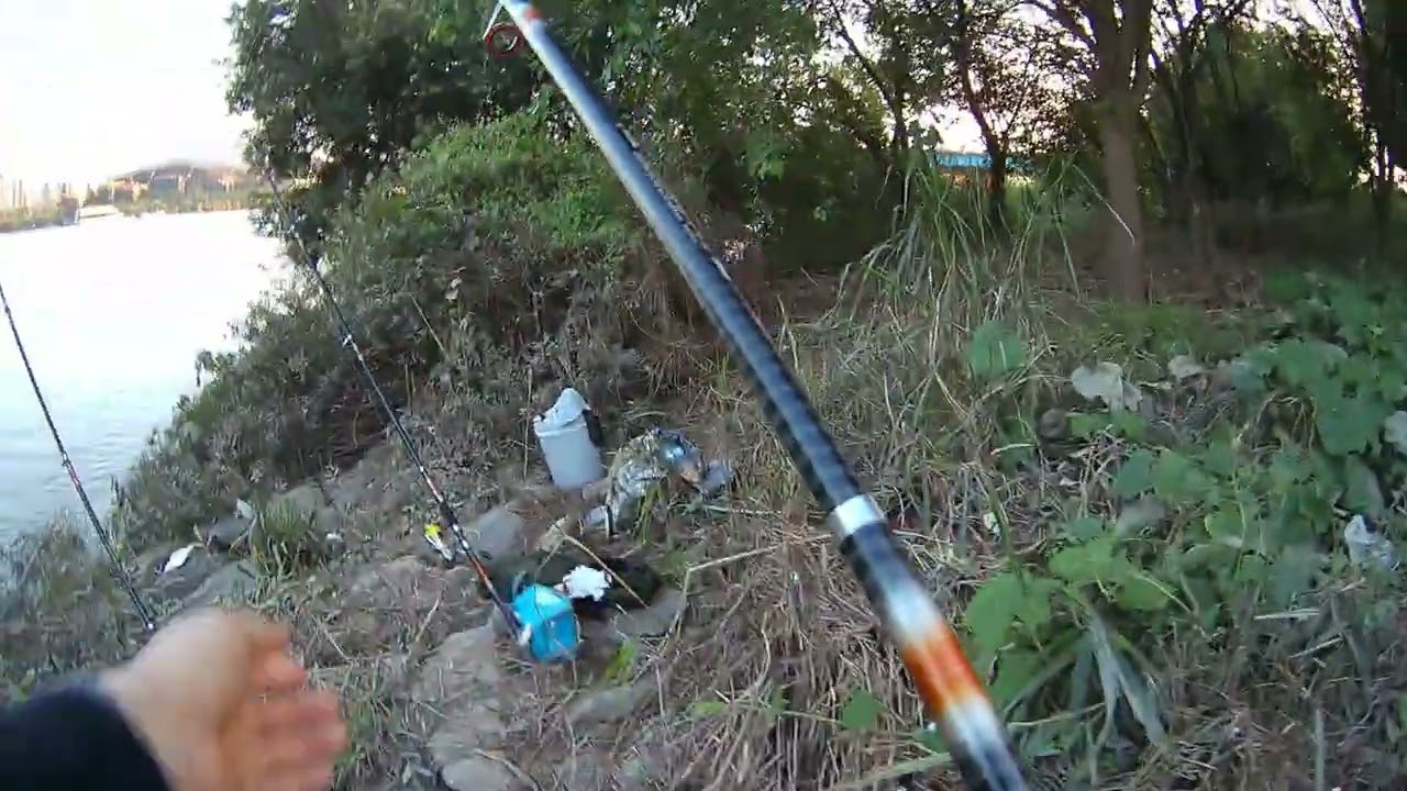 한강 복수전~ #장어낚시 #한강장어낚시 #eelfishing