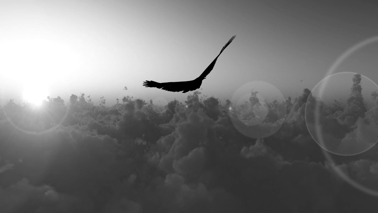 Sven Wittekind - Hawk (Original Mix)