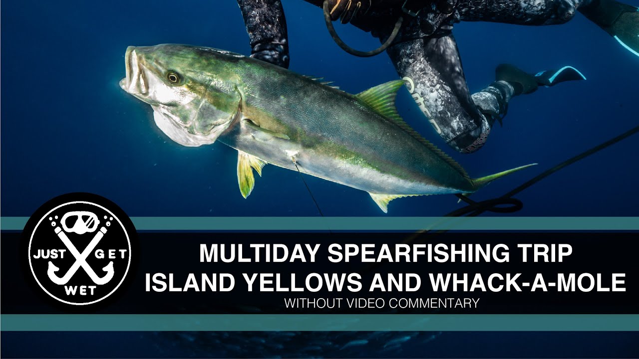 Multiday Spearfishing Trip for Yellowtail and Bluefin Tuna (no commentary)