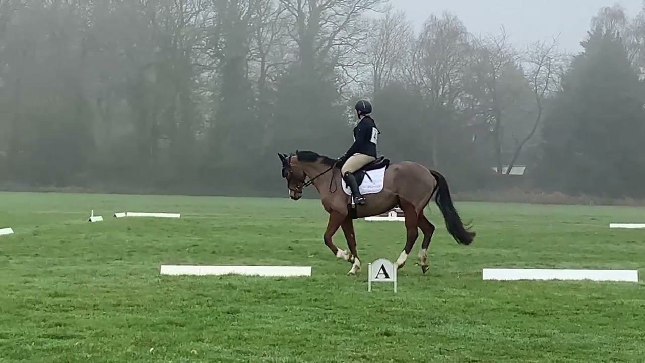 Authora Dream Combined Training BE Test 92 & 80cm Munstead 08.03.26