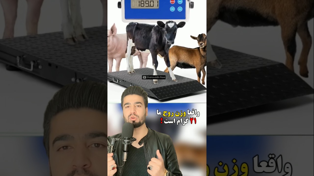 ممکن است روح ما وزن داشته باشد? #روح #اسلامی #دانستنی #جالب #facts #shortsvideo #shorts