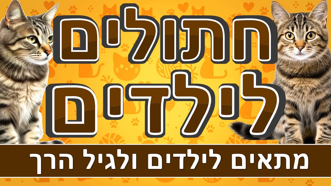 חתולים לילדים