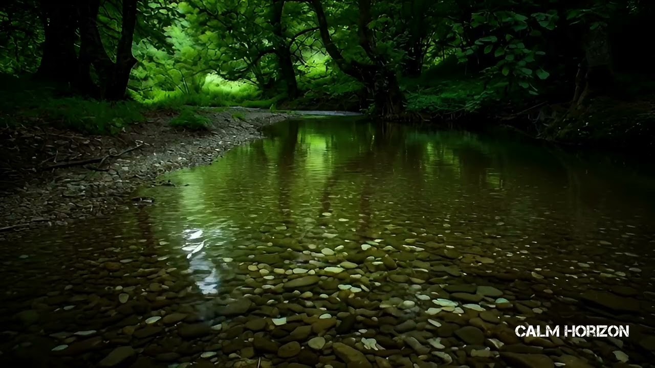 30 Minutes of Forest Bird Sounds & Calm River Ambience 🌿 | Natural ASMR