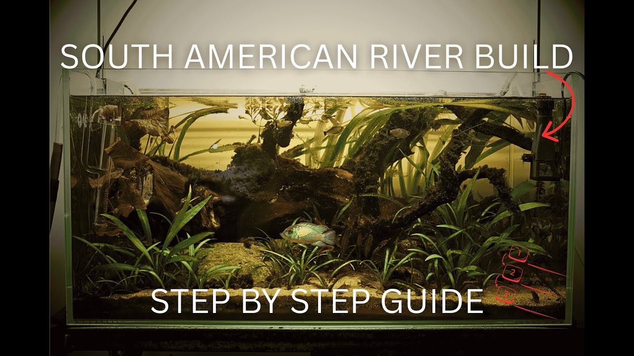 How I created My South American River Aquascape (Step by step guide)
