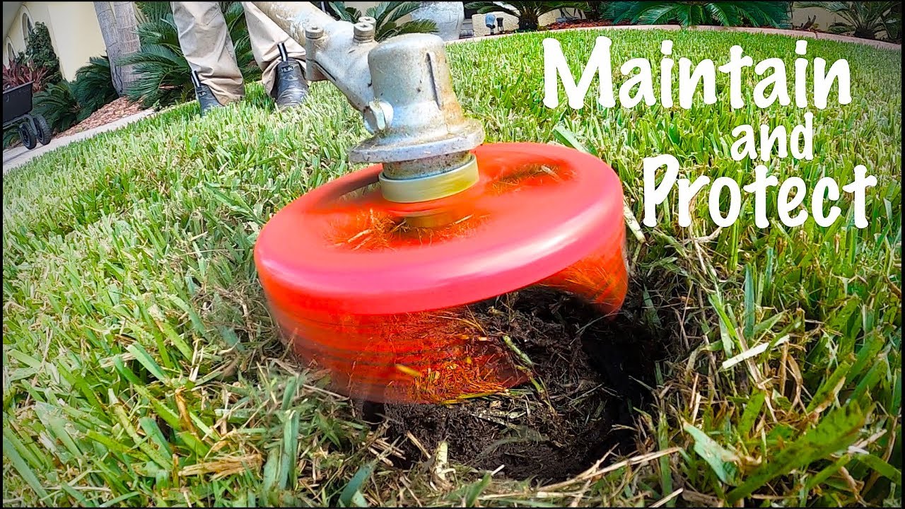 Lawn Sprinkler Head Maintenance You Have Not Considered // Lawn Donut Trimming and TOOLS
