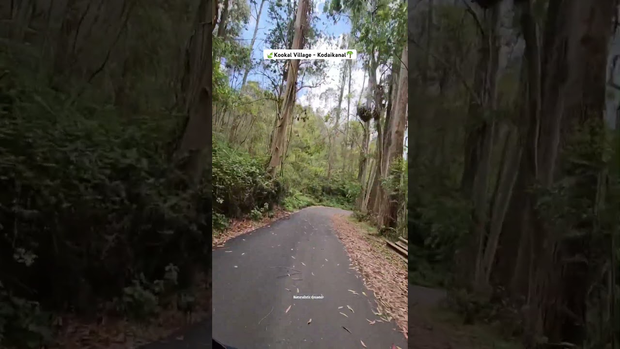 ❣️Way to Kookal 🌴- Kodaikanal 📍