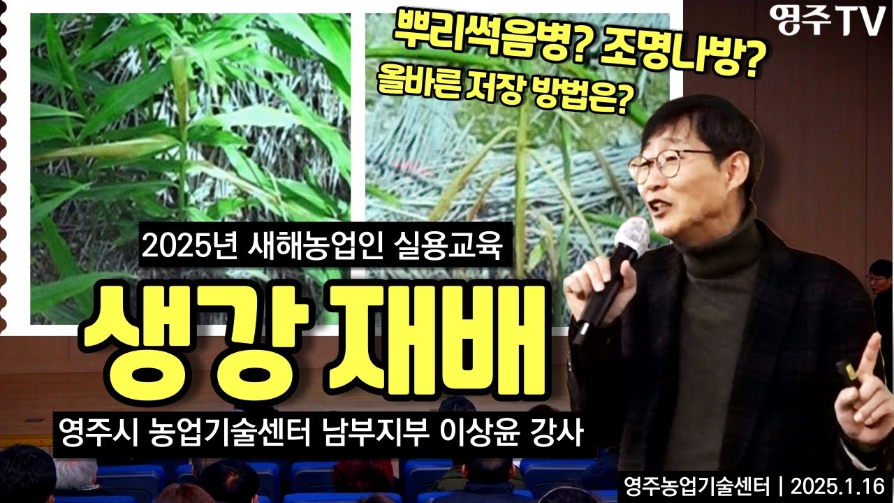 기초부터 자세히 배우는 생강재배 #2025 새해농업인 실용교육 #농업기술센터 #생강