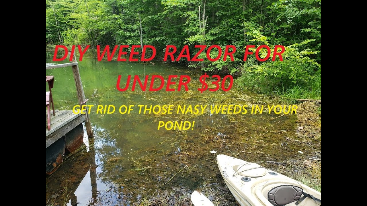 DIY Weed Razor for under $30 00