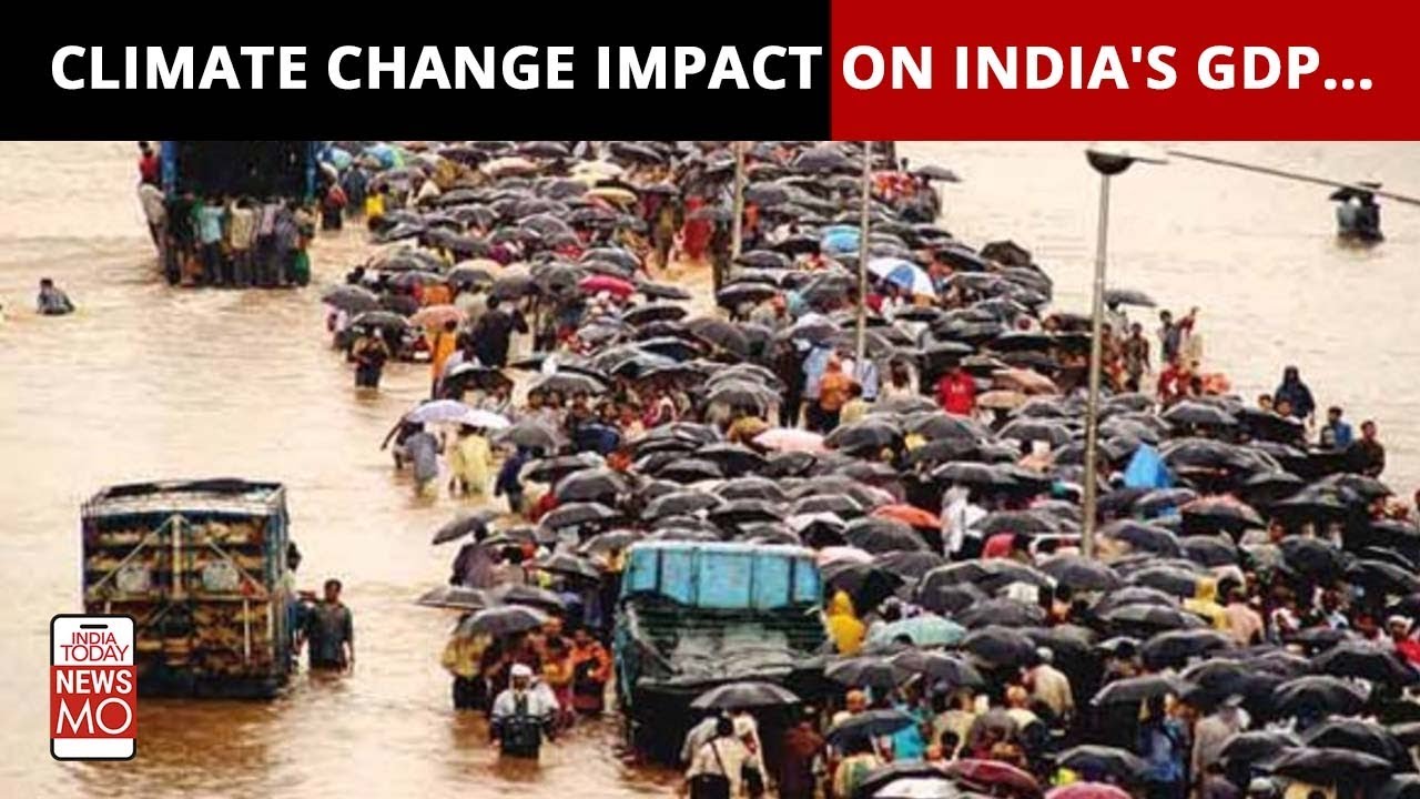 Does Climate Change Have An Impact On India's GDP? | Newsmo