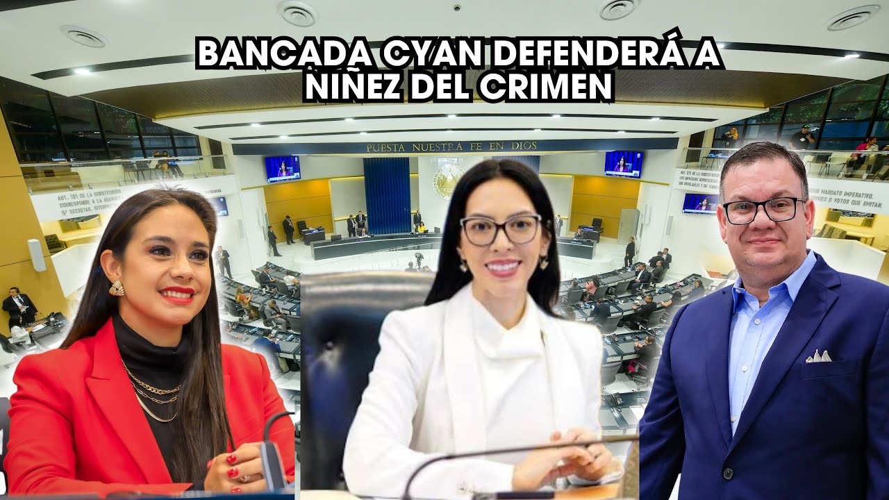 BANCADA CYAN DEFENDER&Aacute; A NI&Ntilde;EZ DEL CRIMEN